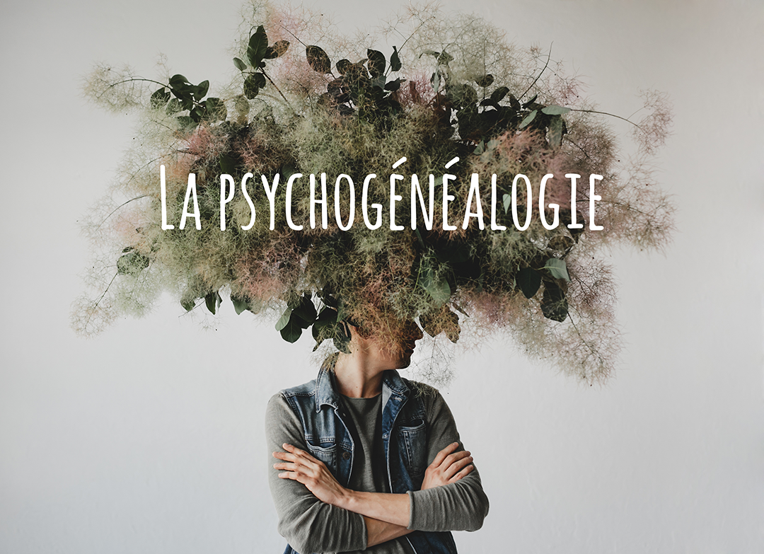 1 « Découvrez la psychogénéalogie »