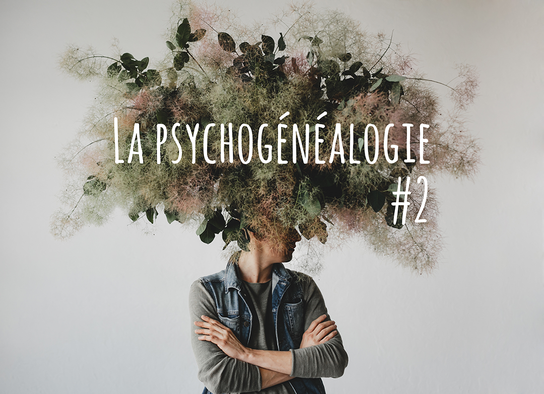 2 « Découvrez la psychogénéalogie »