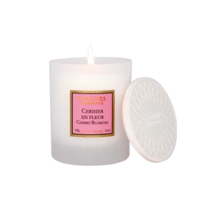 Bougie cerisier en fleur