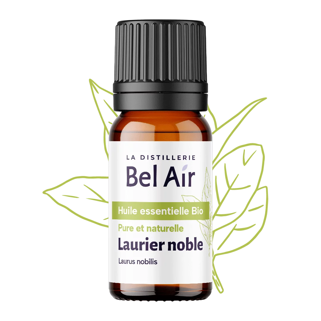 Flacon d'huile essentielle de Laurier Noble bio.