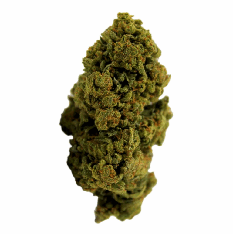 Photo d'une tête de fleur de CBD Diesel avec des trichomes.