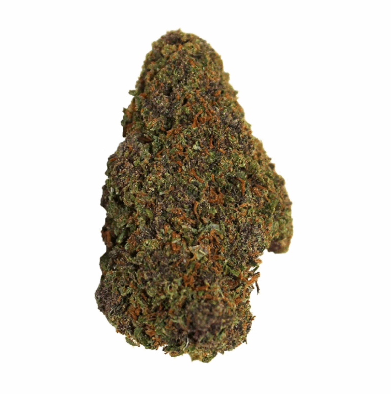Fleur CBD Saphir Kush