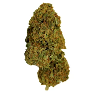 Gros plan sur une fleur de CBD OG Kush avec ses trichomes.