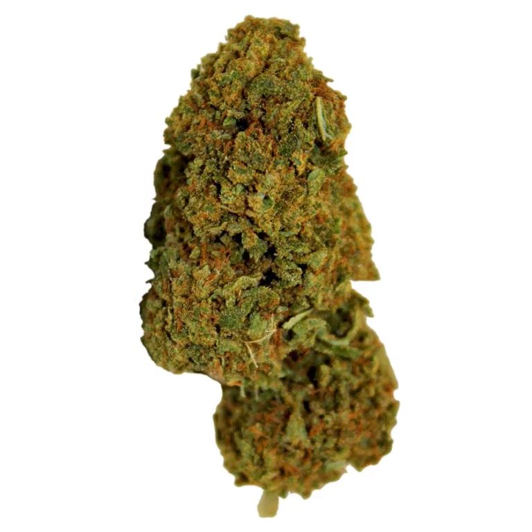 Gros plan sur une fleur de CBD OG Kush avec ses trichomes.