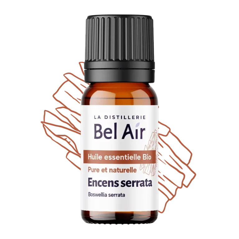 Huile essentielle bio encens serrata Bel Air, flacon ambré