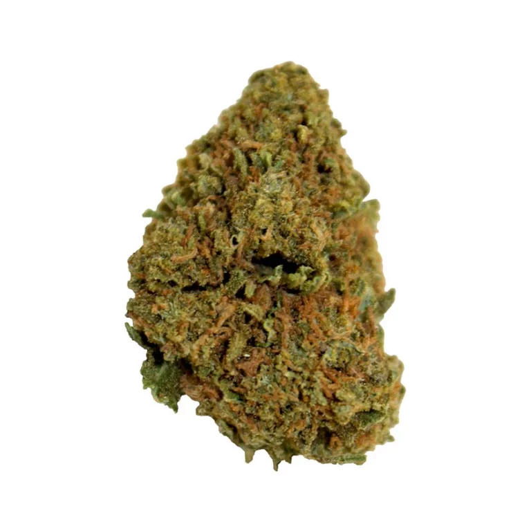 Photo des têtes denses de la fleur de CBD OG Kush.