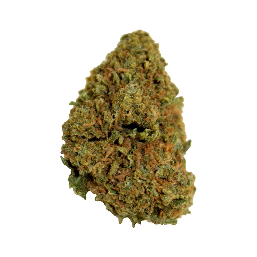 Photo des têtes denses de la fleur de CBD OG Kush.