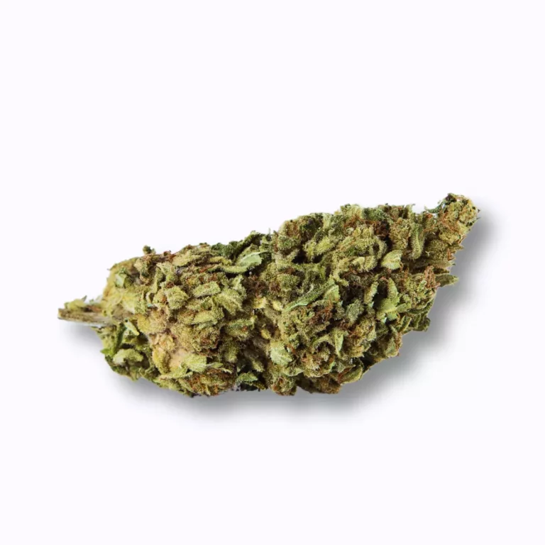 Fleur Cheese CBD française 13% cultivée en Provence
