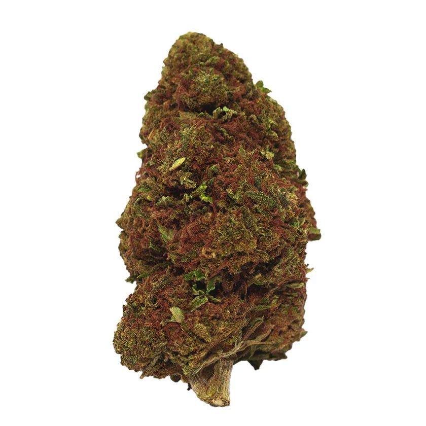 Gros plan sur une fleur de CBD Vanilla Kush avec ses trichomes.