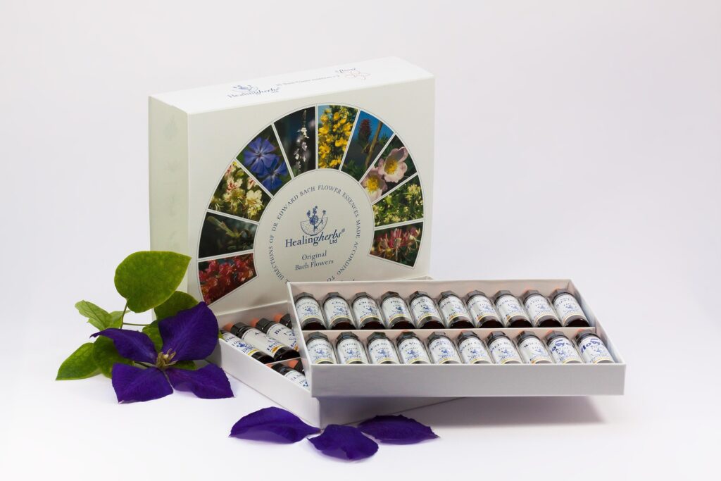 Coffret de flacons d’essences florales Bach sur fond blanc