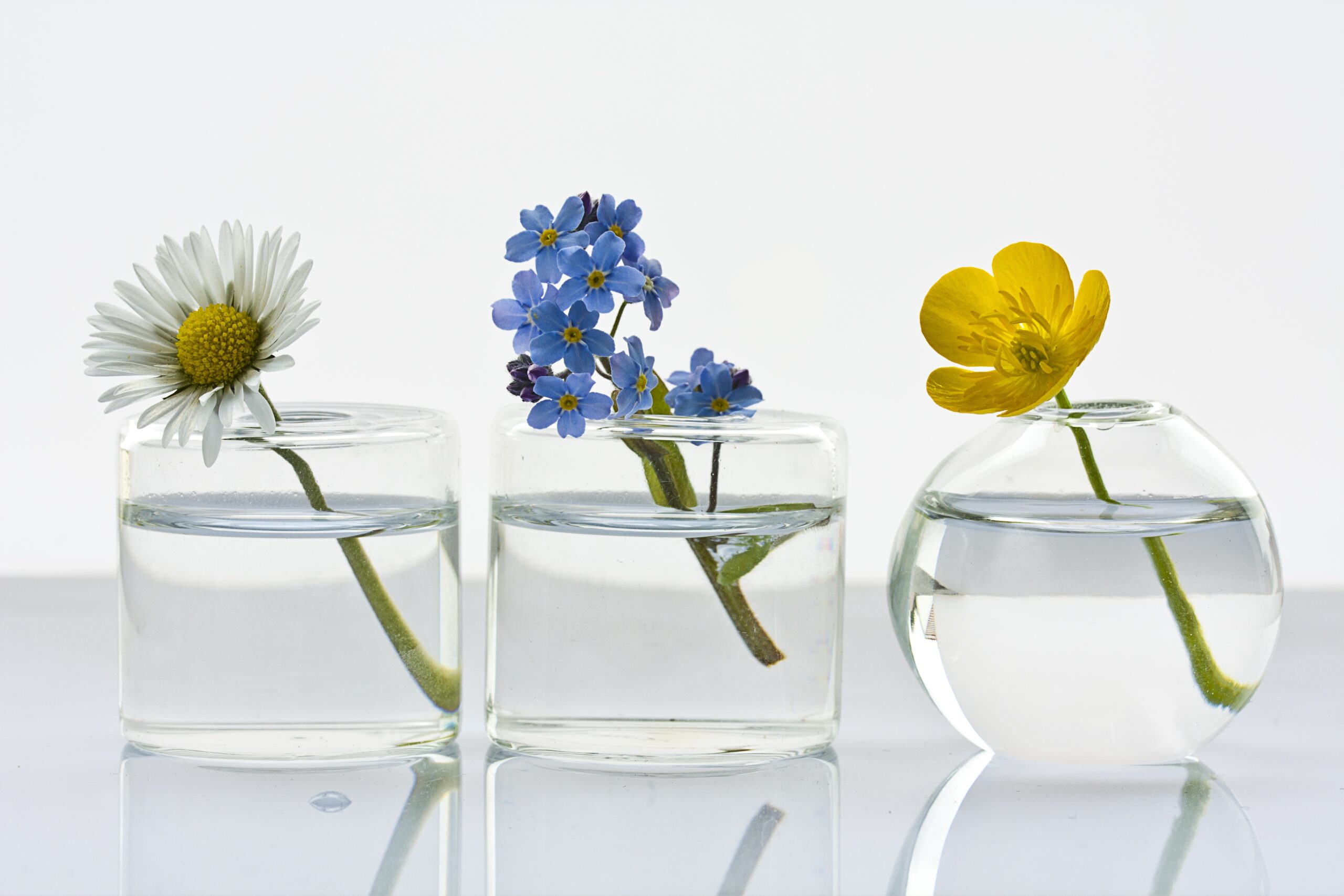 petits vases en verre avec fleurs colorées décoratives sur fond blanc