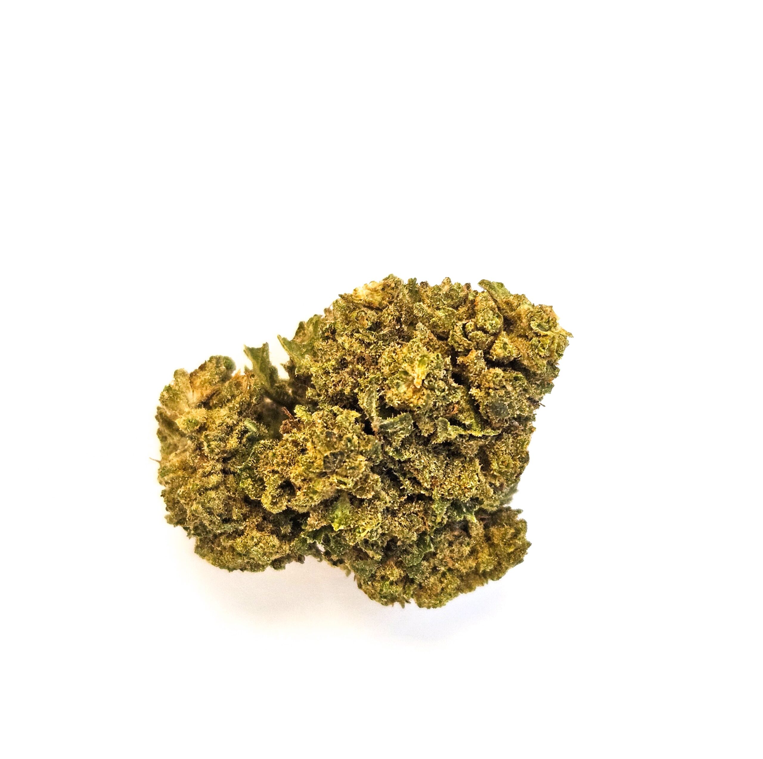 Fleur de CBD Bubba Kush sur fond blanc, gros plan