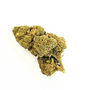 Fleur de CBD Lemon POP sur fond blanc, gros plan