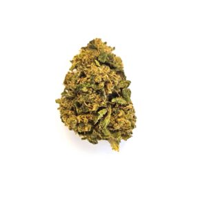 Fleur de CBD Mandarina sur fond blanc, gros plan