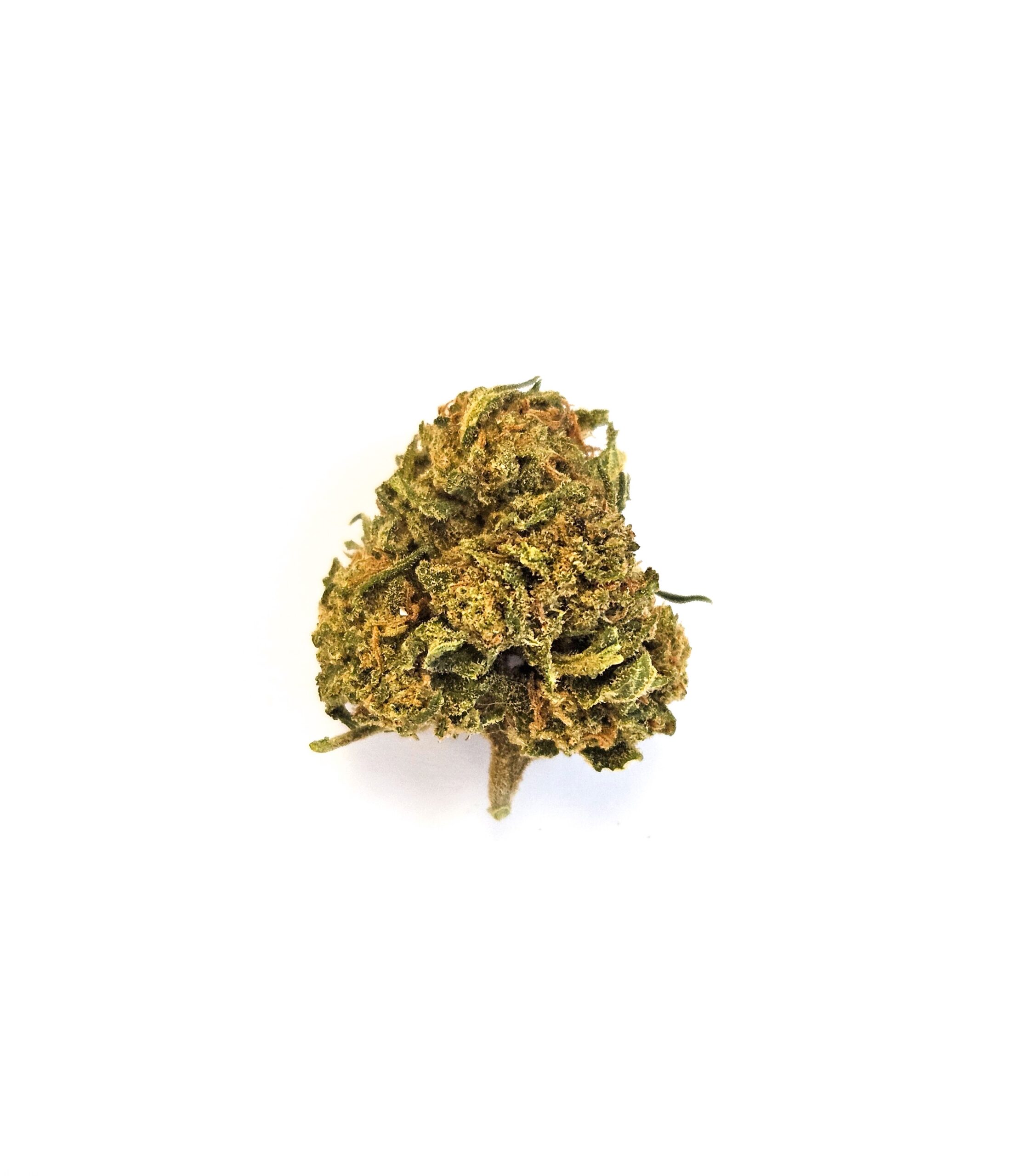 Fleur de CBD Smash Baboll sur fond blanc, gros plan