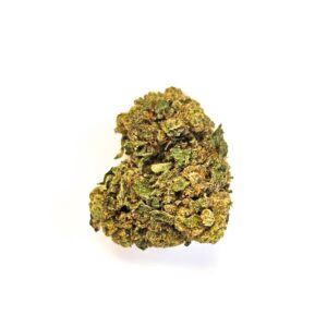Fleur de CBD White Cali sur fond blanc, gros plan