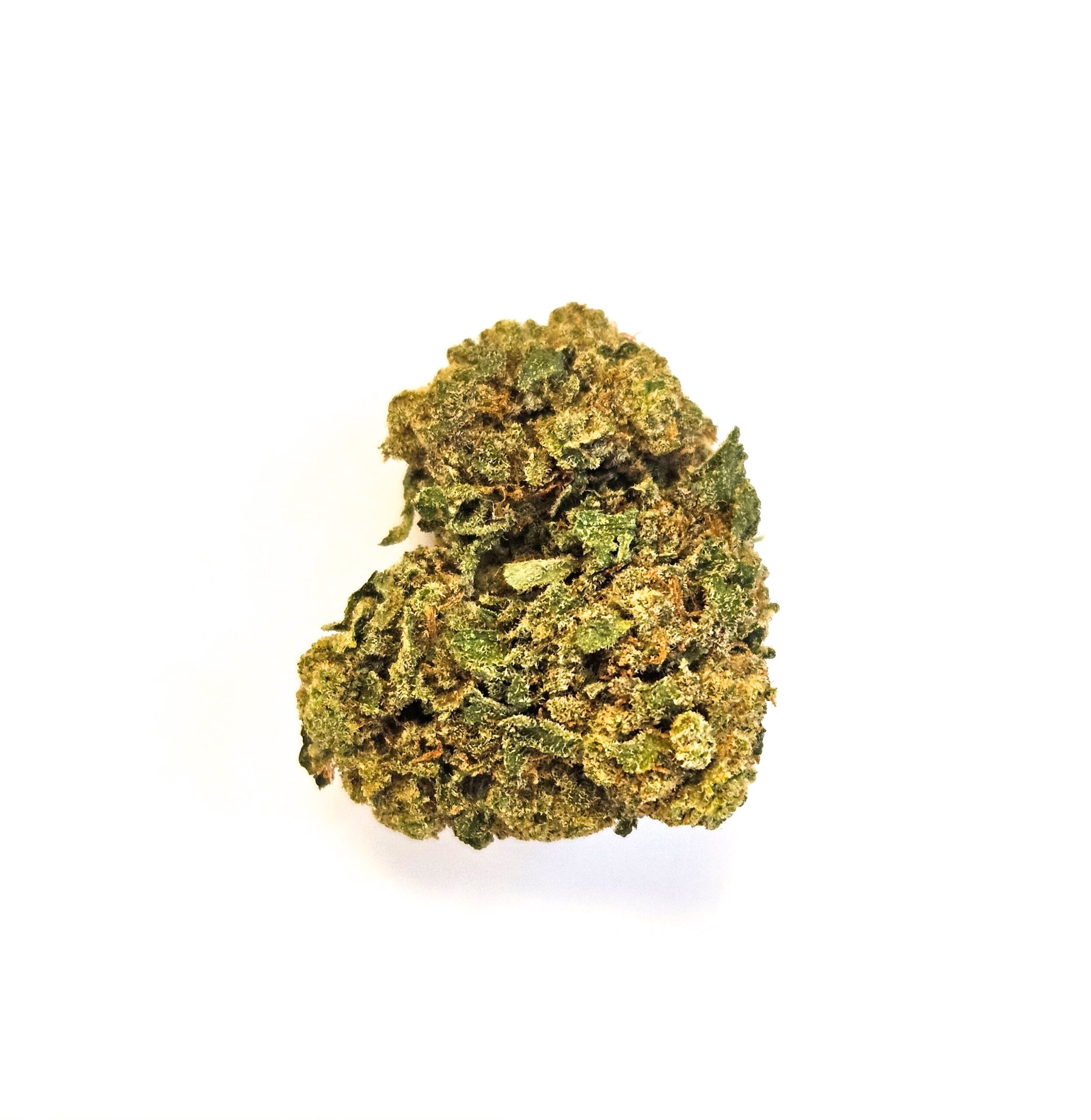 Fleur de CBD White Cali sur fond blanc, gros plan
