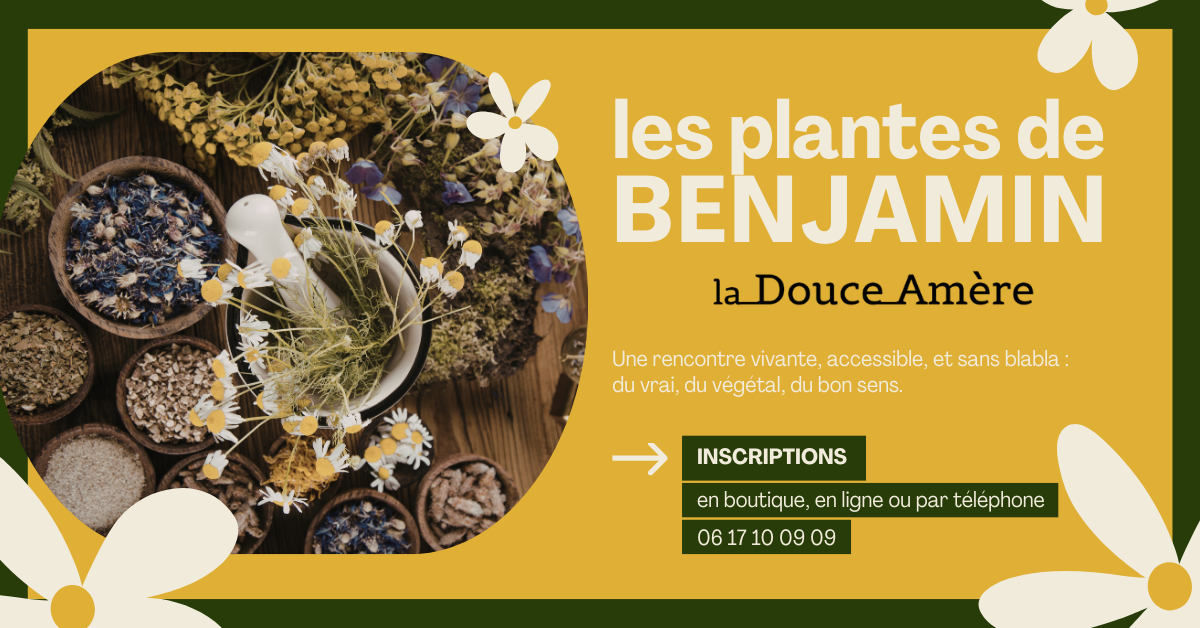 Les plantes de Benjamin